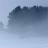 Cold