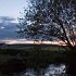 Pond